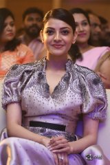 MLA Movie Pre Releae Event Photos